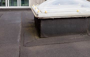 disadvantages of Tre Ifor flat roofs