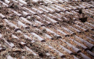 Tre Ifor roof cleaning companies